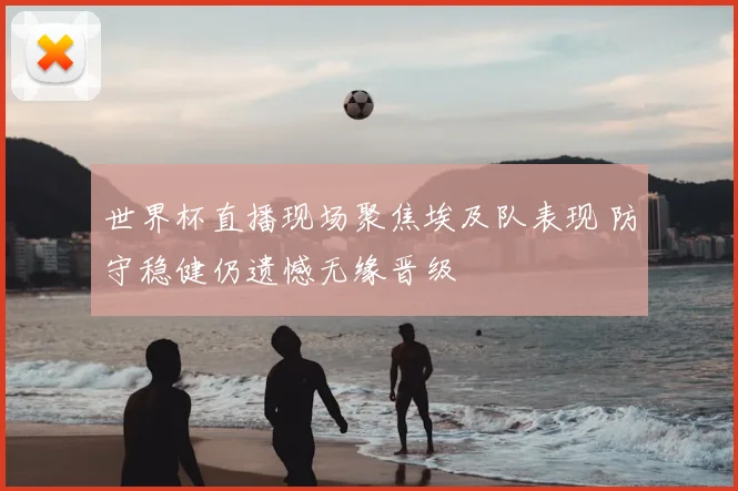 世界杯直播现场聚焦埃及队表现 防守稳健仍遗憾无缘晋级