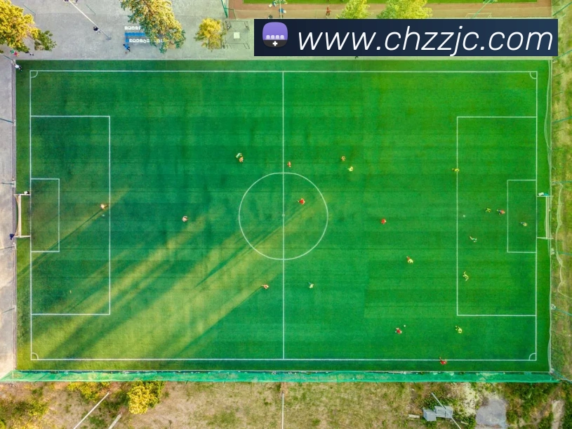 奇异果体育官网平台生态图